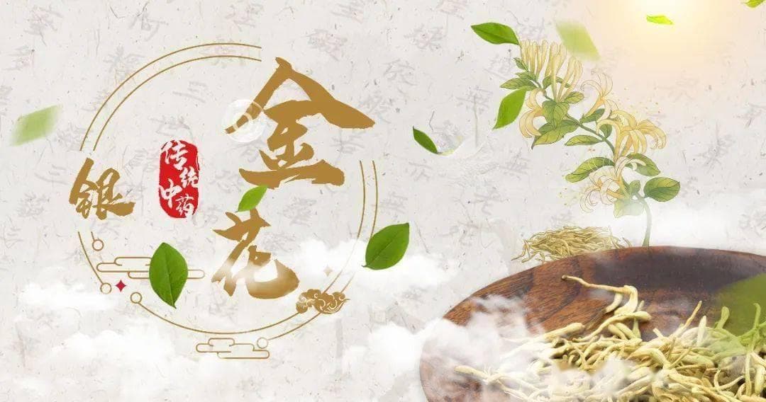 陈说美肤｜常被用来泡茶、煎汤的金银花，对皮肤有很好的保养和治疗作用
