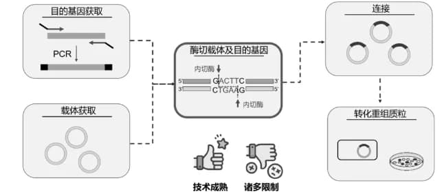 涨知识|克隆专题一：不同分子克隆方法介绍(上)