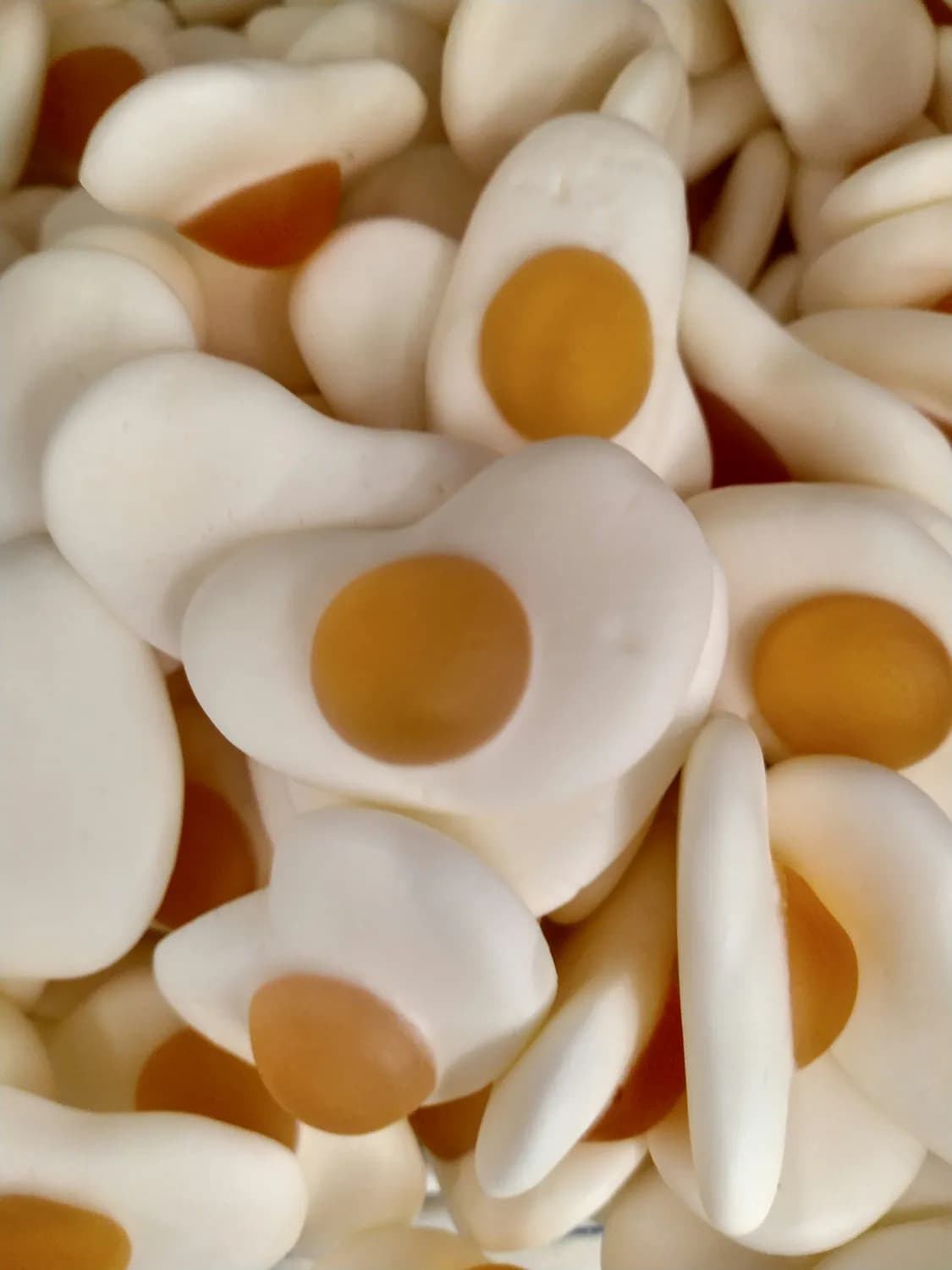 蛋仔派对×间谍过家家：乳茶妹妹兑换码大揭秘！