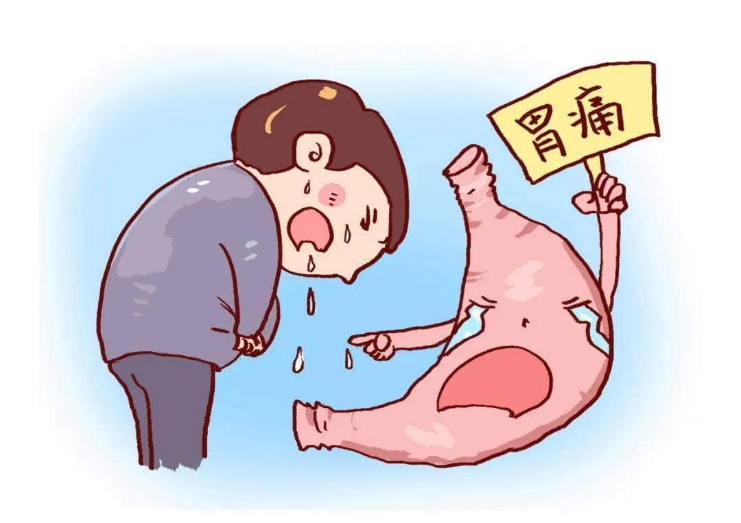 都说普洱熟茶“养胃”，科学依据来了！