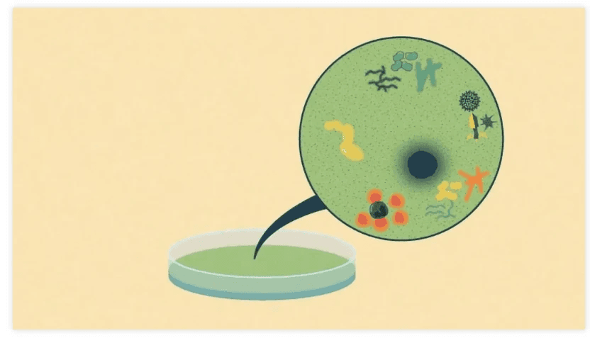 细胞培养过程中如何避免微生物污染？