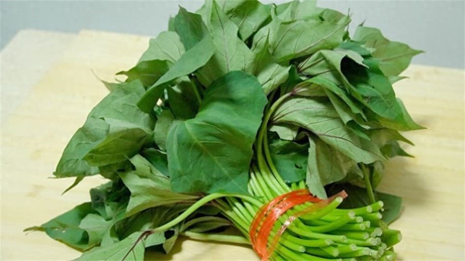地瓜叶的美味做法：简单两步，鲜香味美，营养价值媲美菠菜芹菜