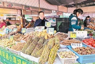 云南好山水 化育好药材