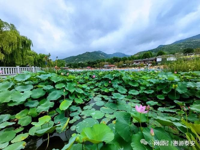 山东多地遭遇暴雨，防范工作刻不容缓！