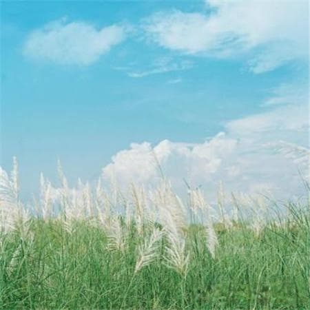 电暖器工作原理及选购指南