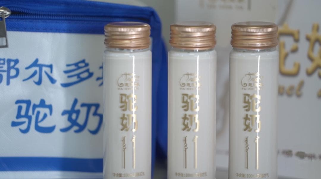 骆驼奶：草原上的致富密码