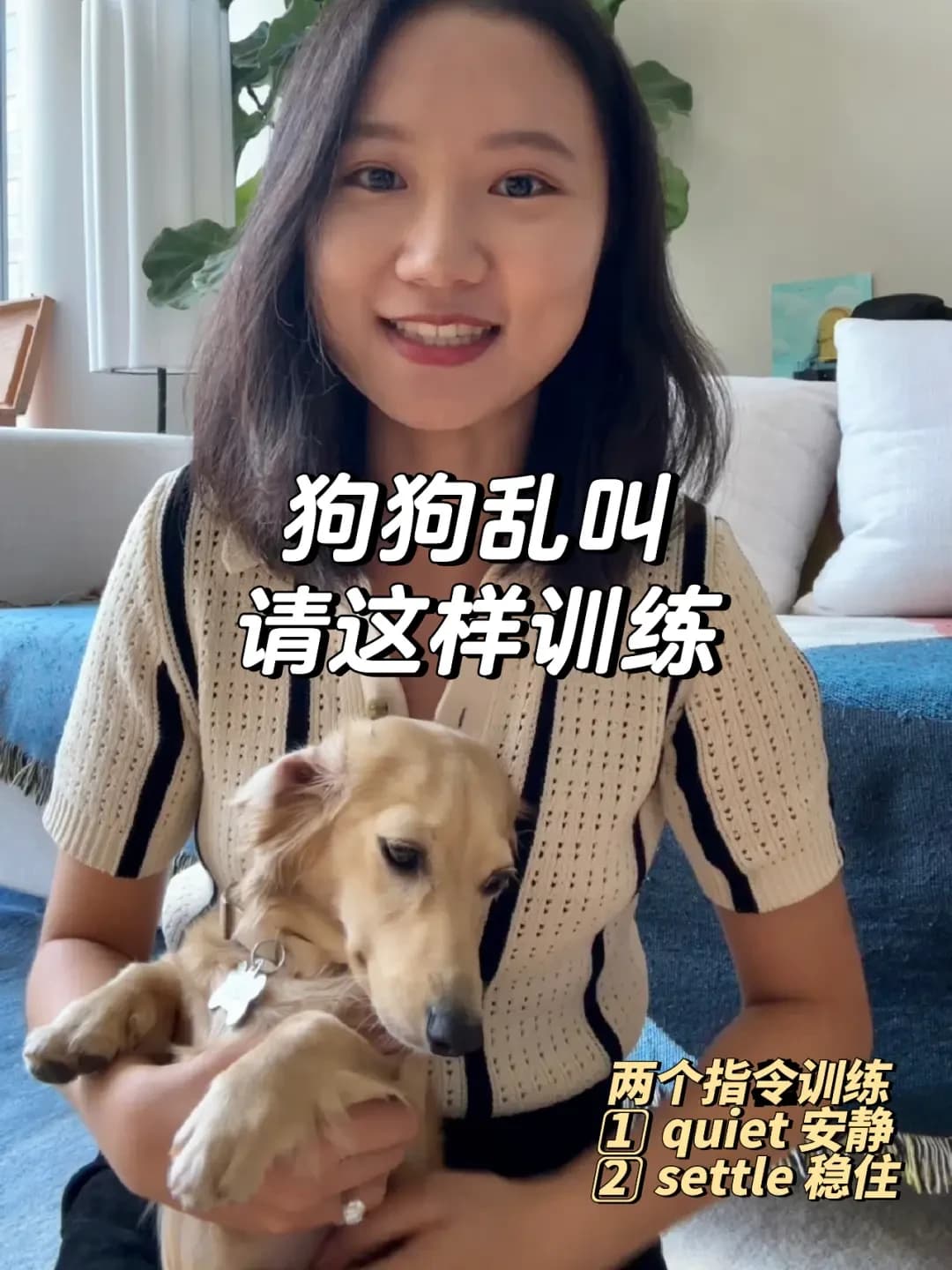 教你5招！轻松纠正狗狗乱吠行为，维护家庭和睦