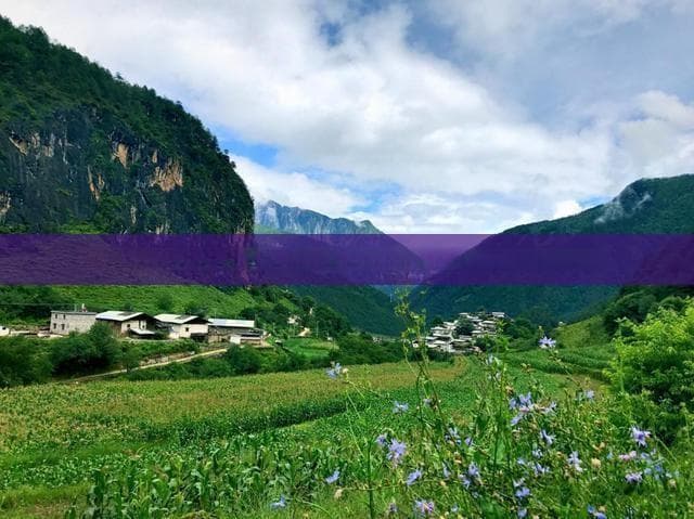 春季游览四川青城山：门票价格、开放时间及旅游攻略全解析