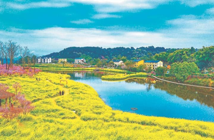 巴南：农村经济“活”起来 乡村旅游“火”起来