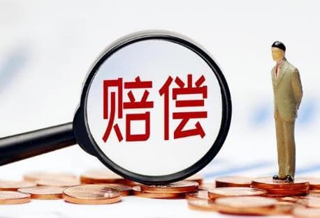 人道主义赔偿：金额范围、法律地位与道德考量