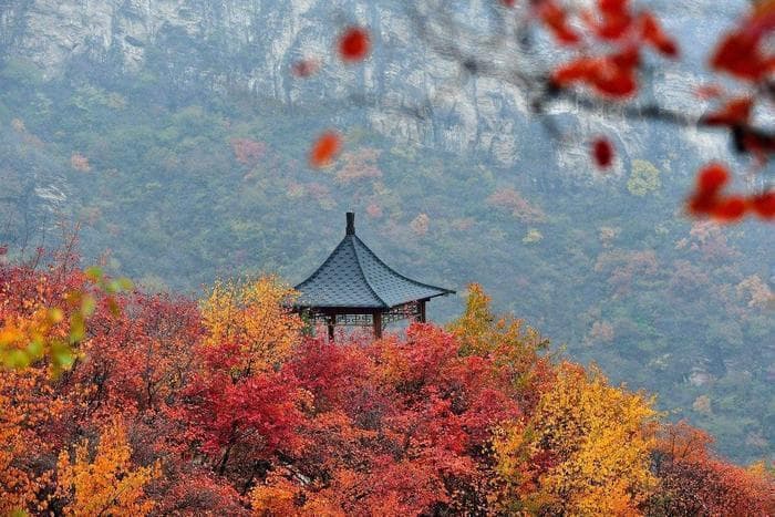 红叶正当时：全国十大赏枫胜地推荐