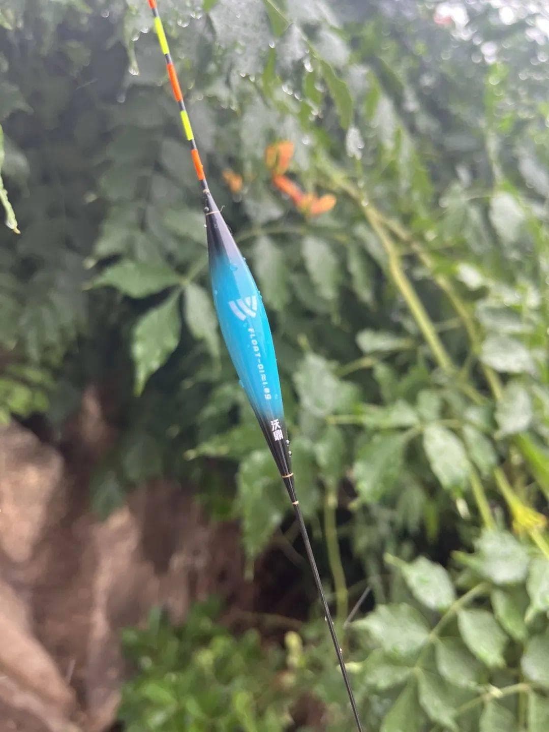 选漂秘籍 | 只需4步，让你轻松选好漂！