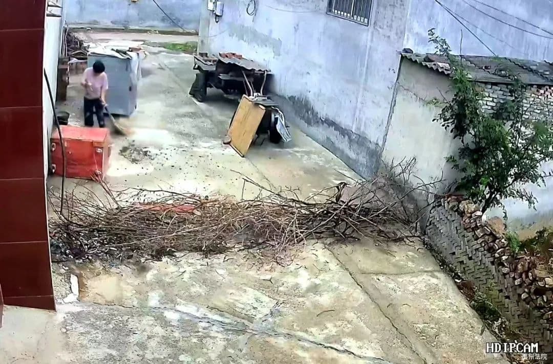 妨碍邻居通行，法院强制清除