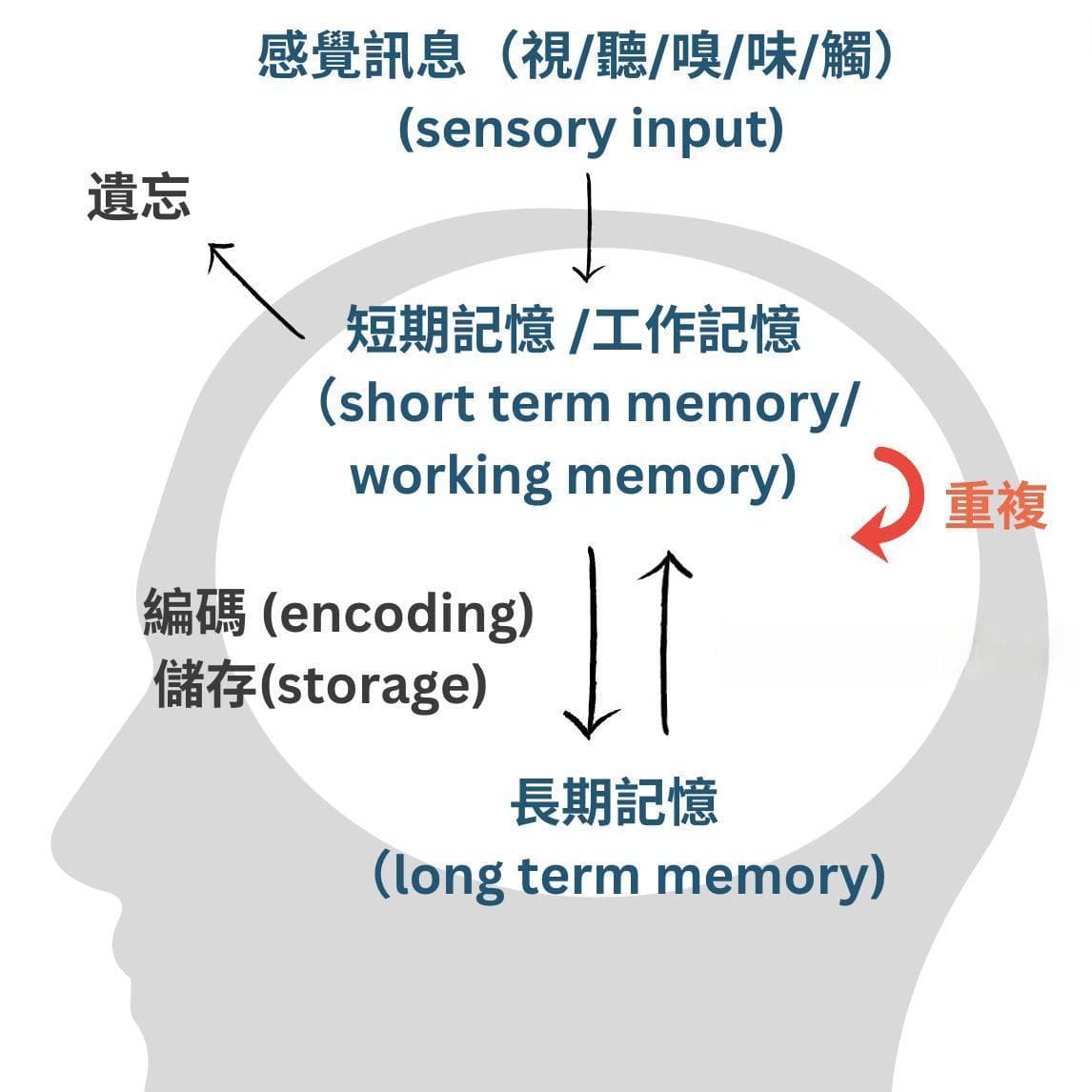 巴德利教你情绪调节的小窍门