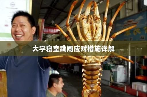 大学寝室跳闸应对措施详解