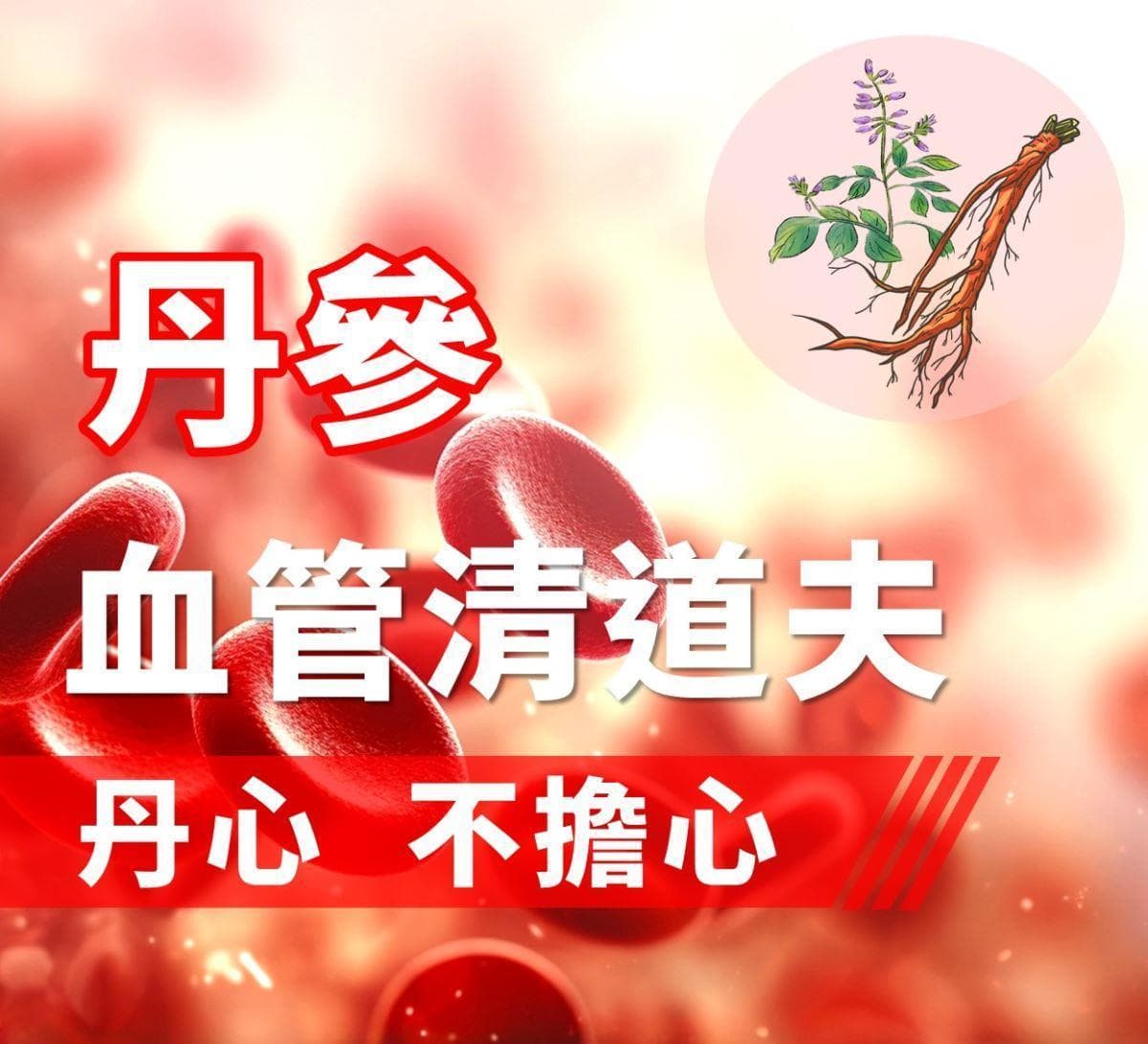丹参粉心血管保健效果获证实，但不能替代专业治疗