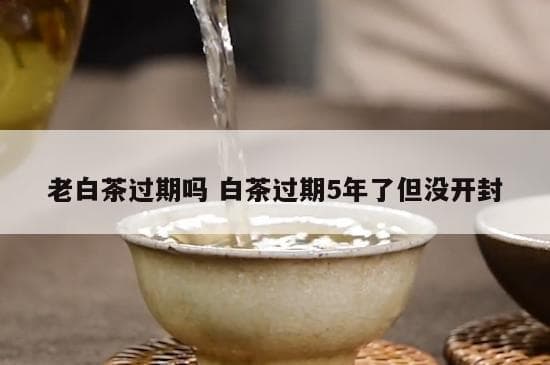 老白茶过期吗 白茶过期5年了但没开封