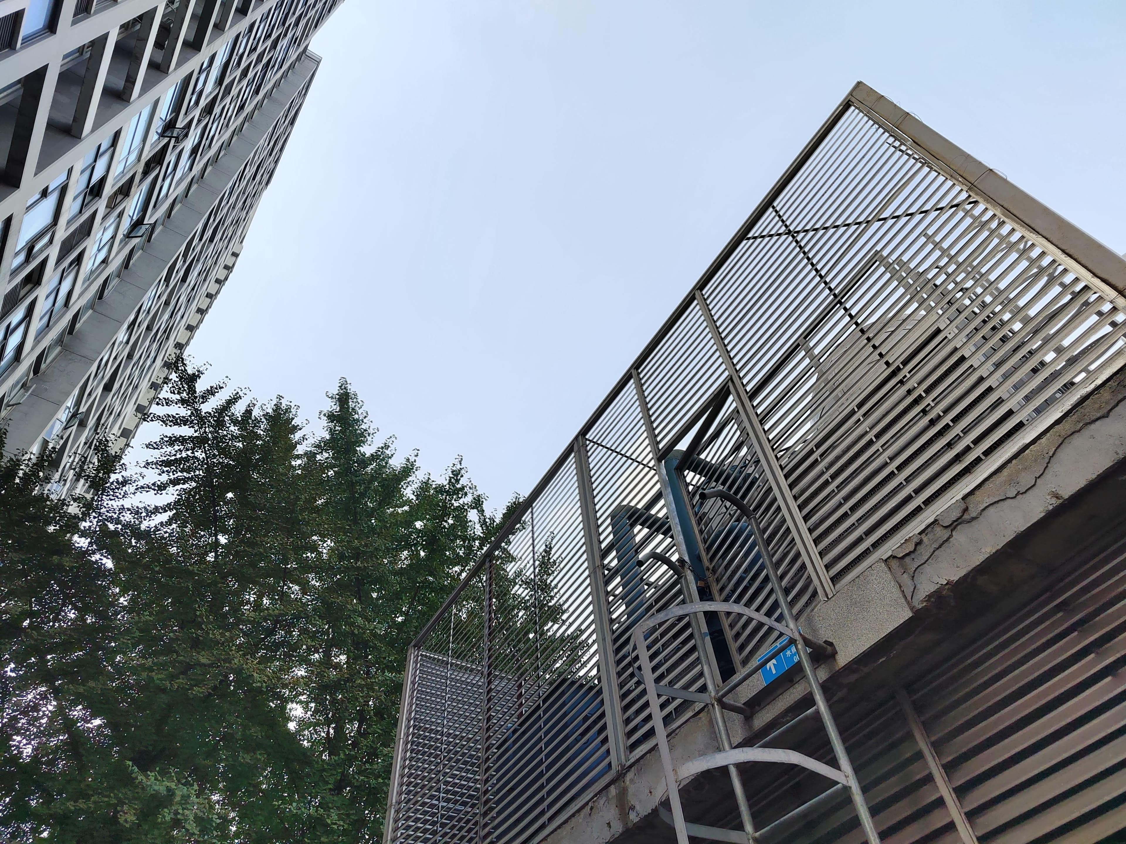 建筑施工纠纷处理指南：证据收集、噪音扰民与招投标规定