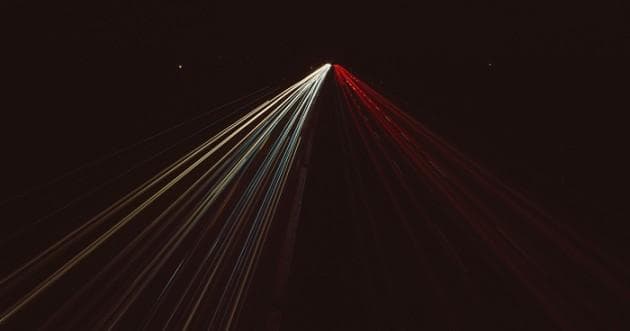 龟背竹用什么肥料最好