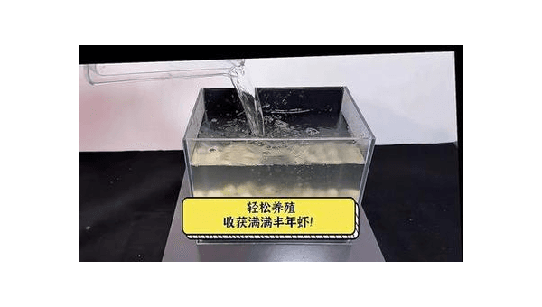 金波子卵孵化失败？揭秘水质和水温的关键影响