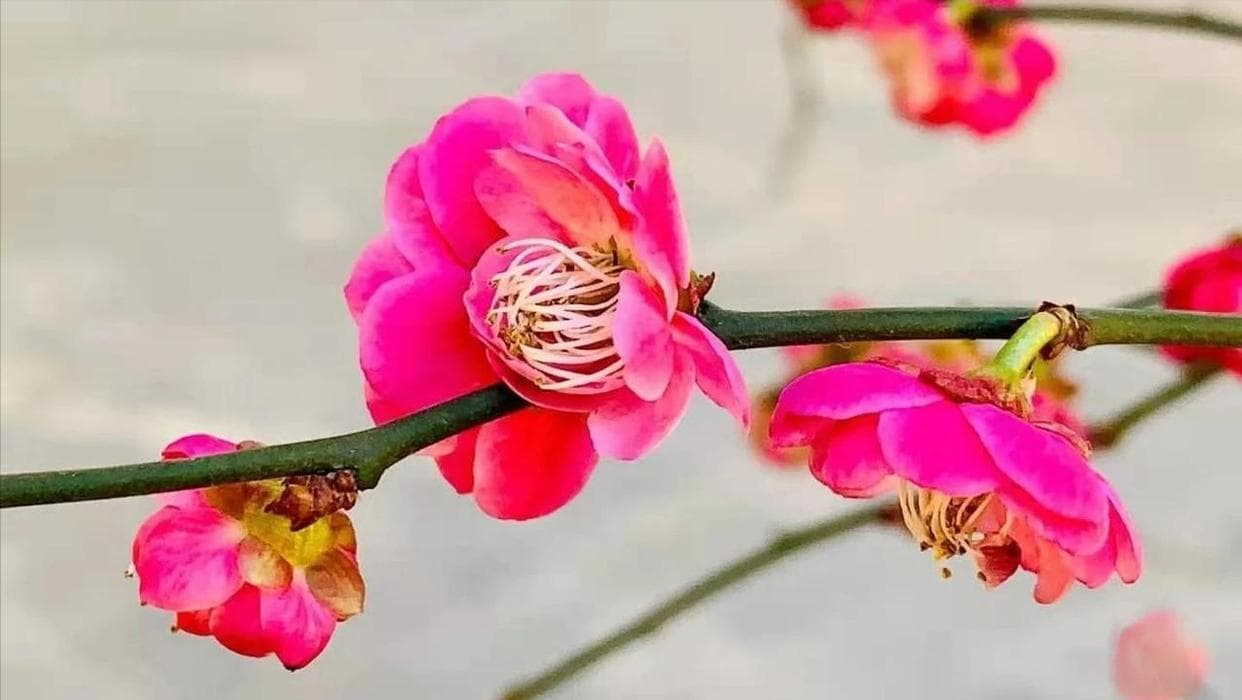 《增广贤文》10句格言，饱含智慧，受益终生！