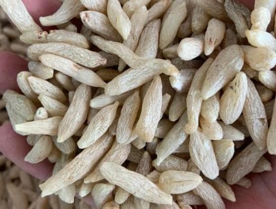 麦冬一天可以泡多少粒？麦冬泡水的功效与注意事项