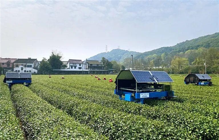 西湖边的智能采茶机器人：浙海大团队6年磨一剑，已迭代至第六代