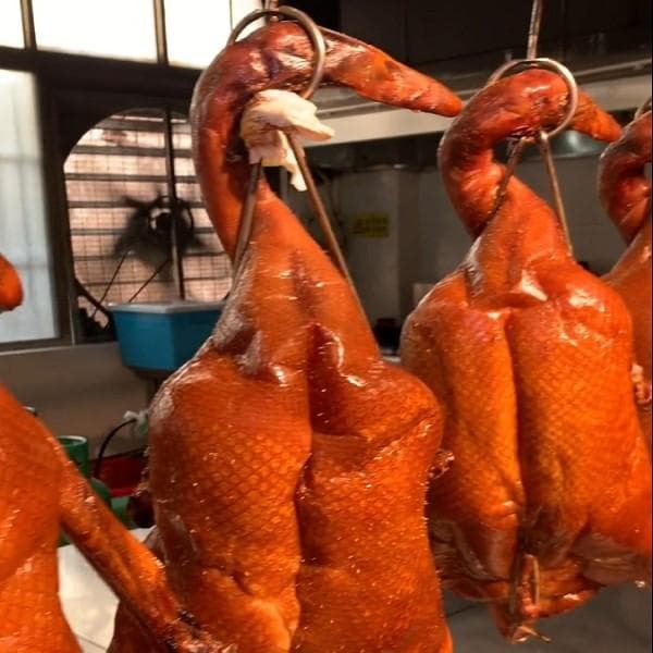 广式深井烧鹅怎么做？深井烧鹅制作步骤详解