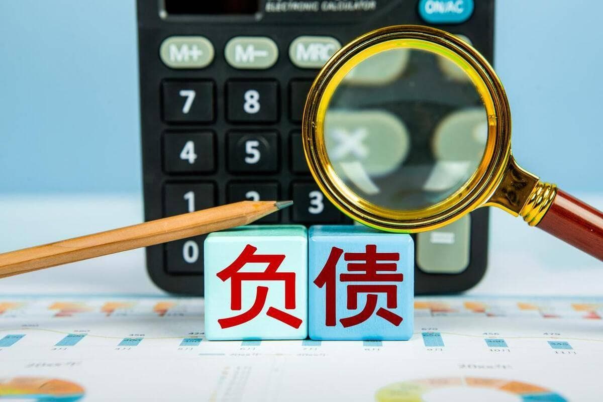 债务优化是什么意思