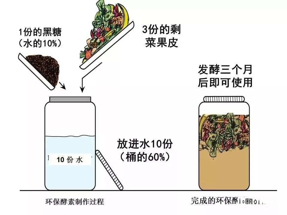 环保酵素已编入小学生课本！手把手教你如何制作与使用！