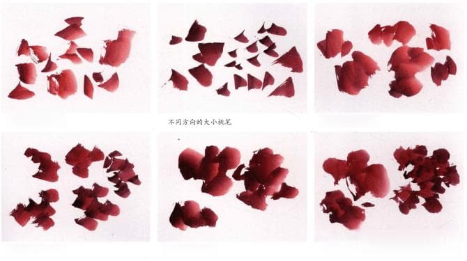 写意牡丹画法