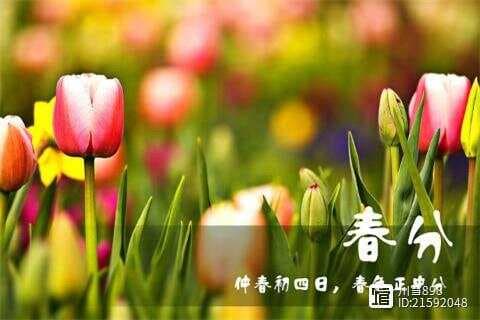 溪边风物已春分——咏春分古诗词赏析