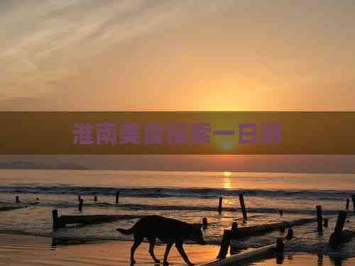 淮南美食探索一日游：品味千年古城的味蕾盛宴