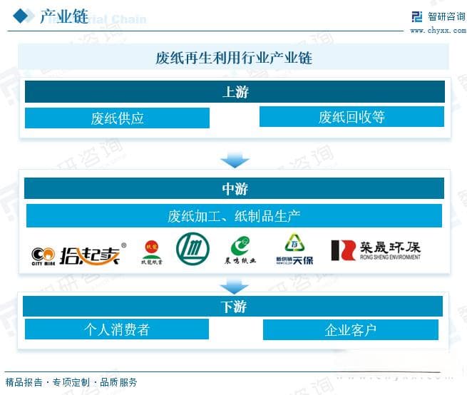 2024年中国废纸再生利用行业深度分析：产业链结构、发展历程及未来趋势