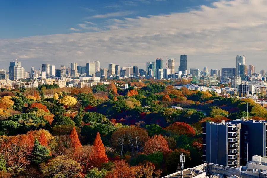 新宿四季旅游指南：从春天赏樱到冬天观灯
