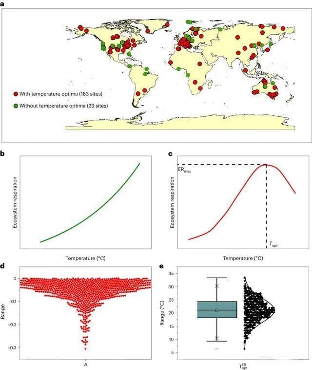 Nature子刊：中科院地理所牛书丽团队等证实生态系统呼吸存在最适温及热适应性
