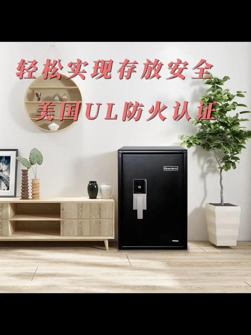 保险柜物品存放知识，安全、有序、高效的管理秘诀