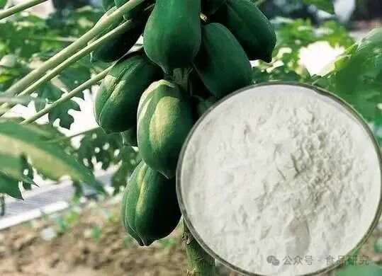 酶在肉制品工业中的应用