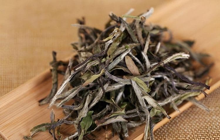 寿眉茶的传奇历史与独特风味