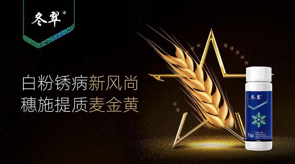 张克勤院士：线虫生物防控策略是国家重大需求