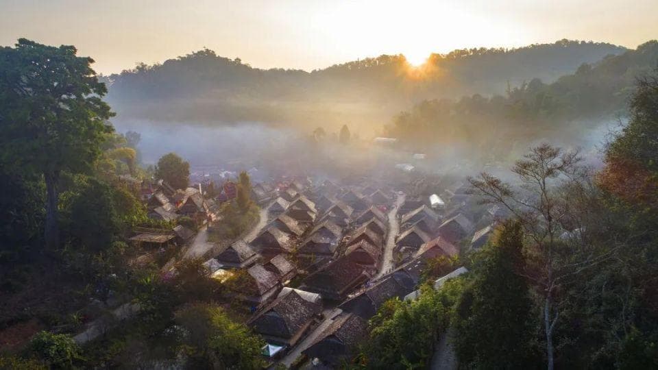 景迈山申遗一周年：旅游收入增184%，茶产业综合产值达40亿