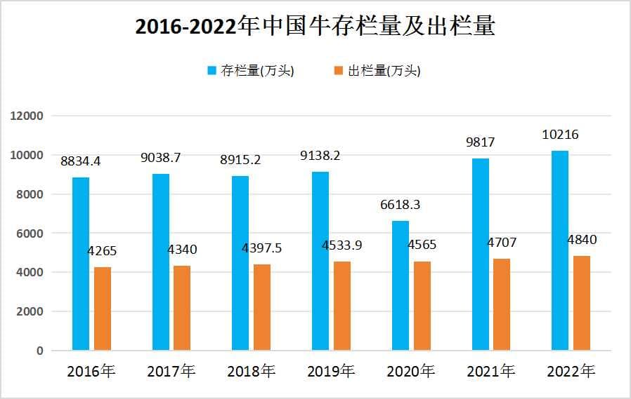2024年中国肉牛养殖行业发展现状及未来发展趋势预测