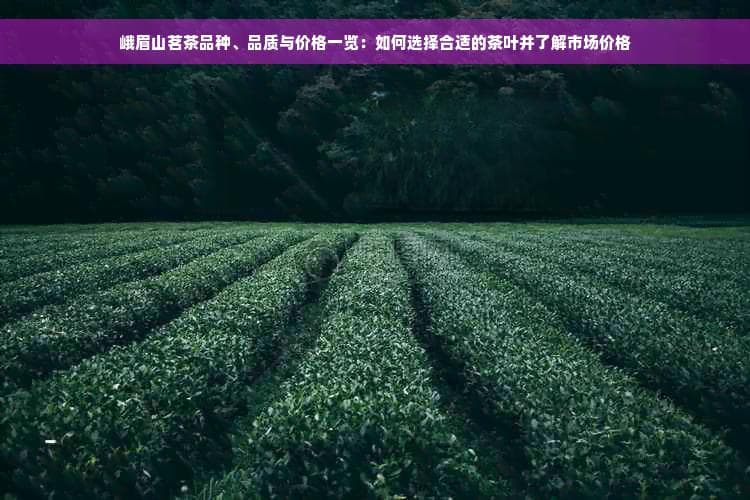 峨眉山茗茶品种、品质与价格一览：如何选择合适的茶叶并了解市场价格