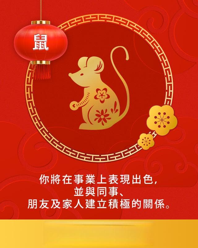 2025年生肖幸运色穿搭指南：十二生肖专属配色与单品推荐