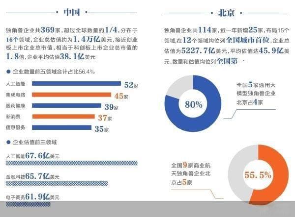 中国独角兽企业的崛起与挑战！
