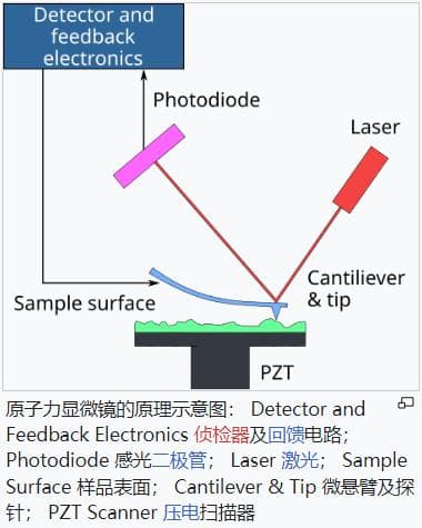 原子力显微镜三种成像模式