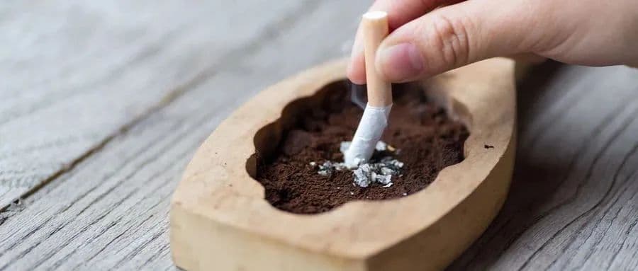 为何不吸烟女性肺癌发病率越来越高，呼吸科专家为您解答