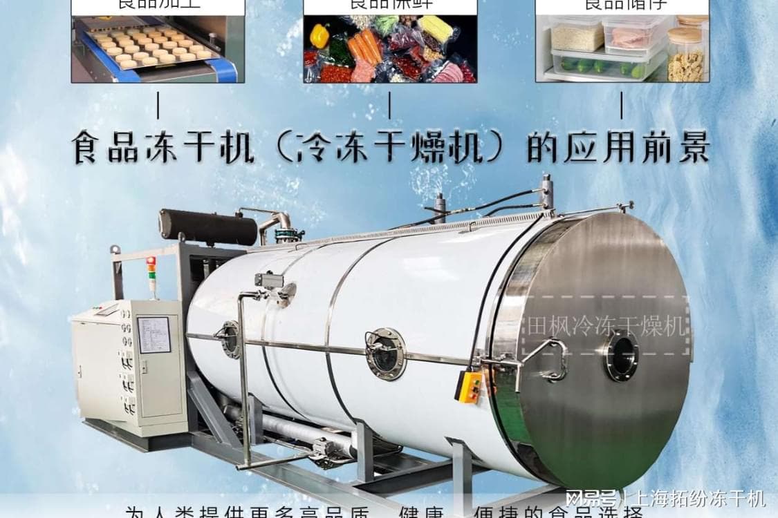 冻干技术：食品保鲜的高效解决方案
