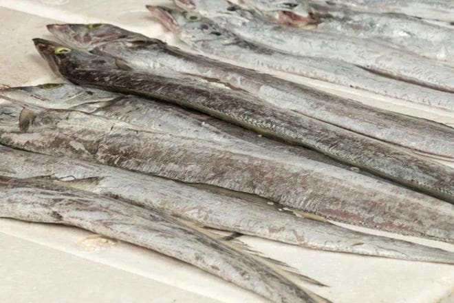 甲醛鱼、柴油鱼、洗衣粉鱼：春节年货选购防坑指南