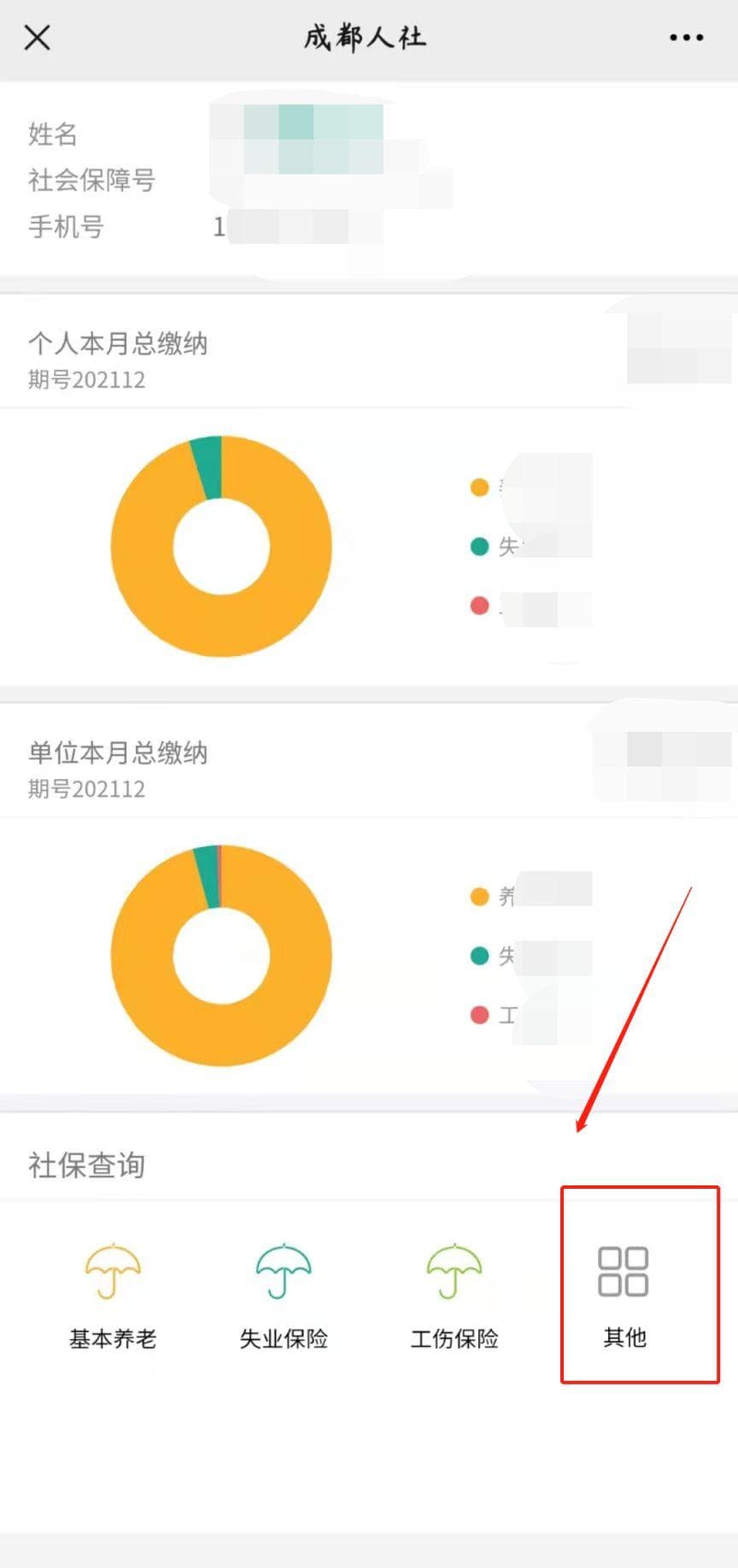 成都养老保险查询指南：网上、电话、窗口全方位查询方式